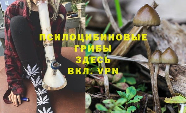 кокс Карпинск