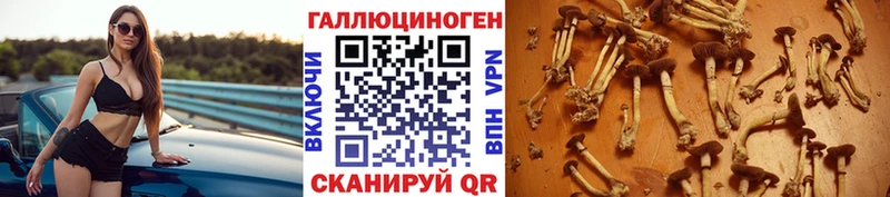 Псилоцибиновые грибы Psilocybine cubensis Изобильный
